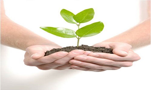 ارزشهای مرکز